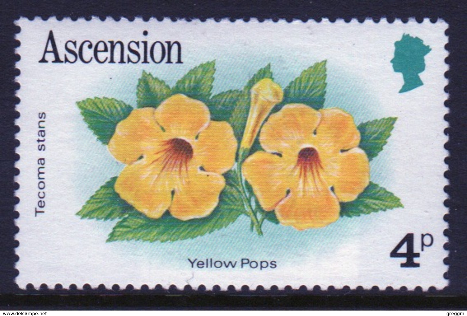 Ascension Queen Elizabeth Unmounted Mint 4p Stamp From 1981 Set On Flowers. - Ascension (Ile De L')