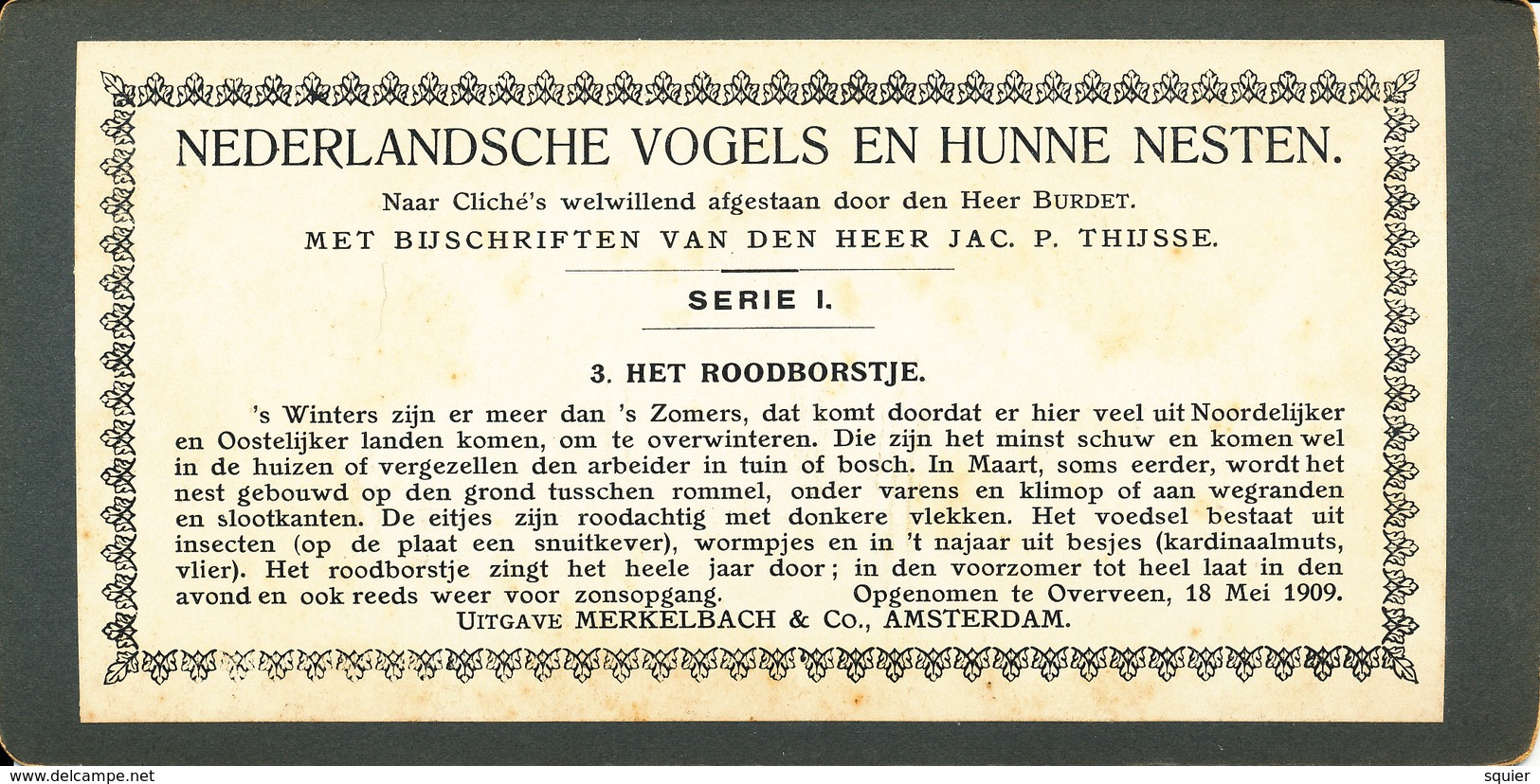 Merkelbach, Vogels, Nesten, Roodborstje - Stereoscoopen