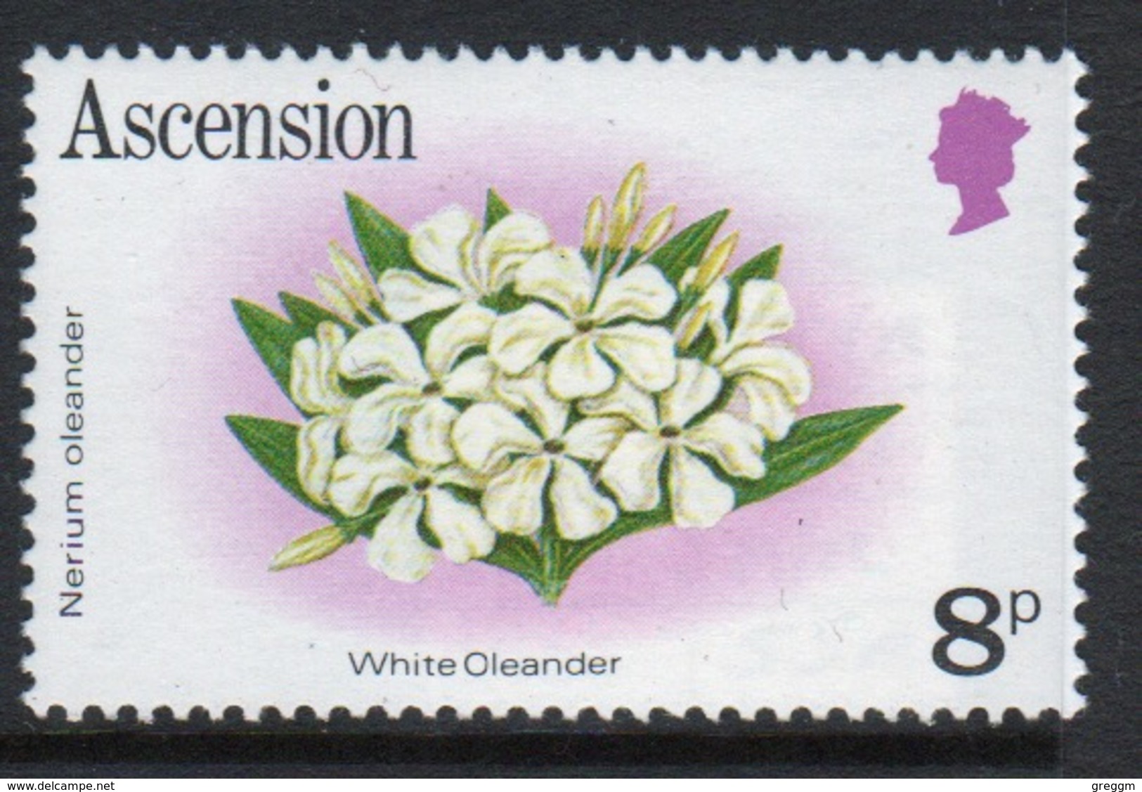 Ascension Queen Elizabeth Unmounted Mint 8p Stamp From 1981 Set On Flowers. - Ascension