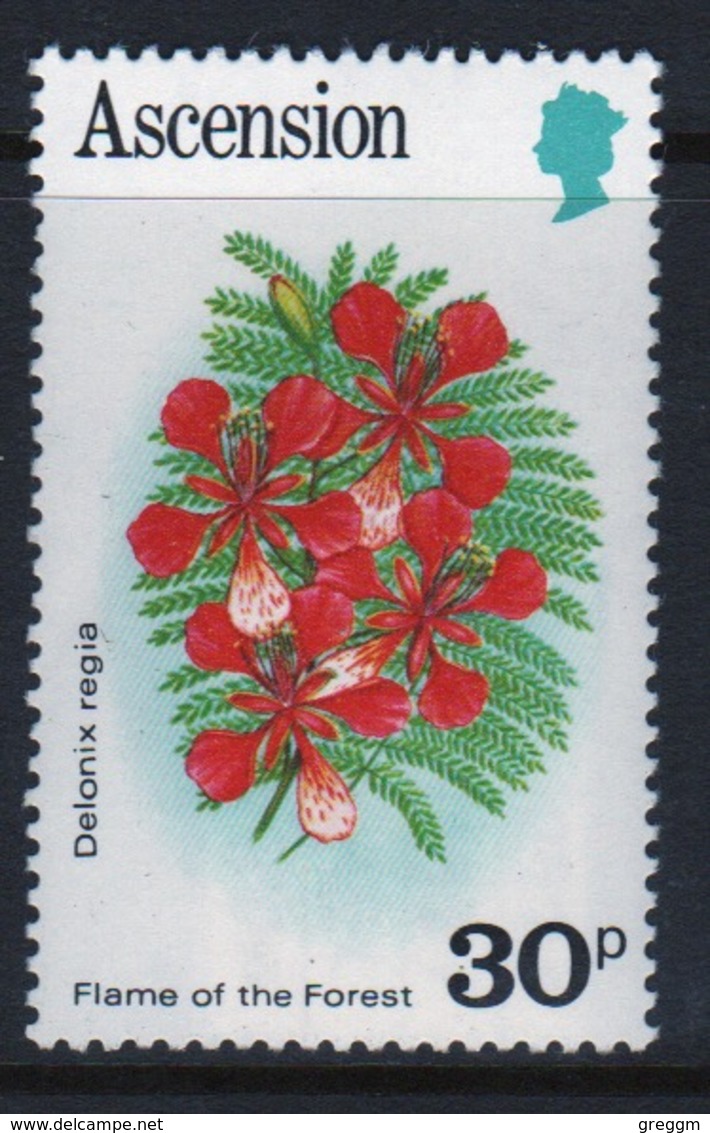 Ascension Queen Elizabeth Unmounted Mint 30p Stamp From 1981 Set On Flowers. - Ascension