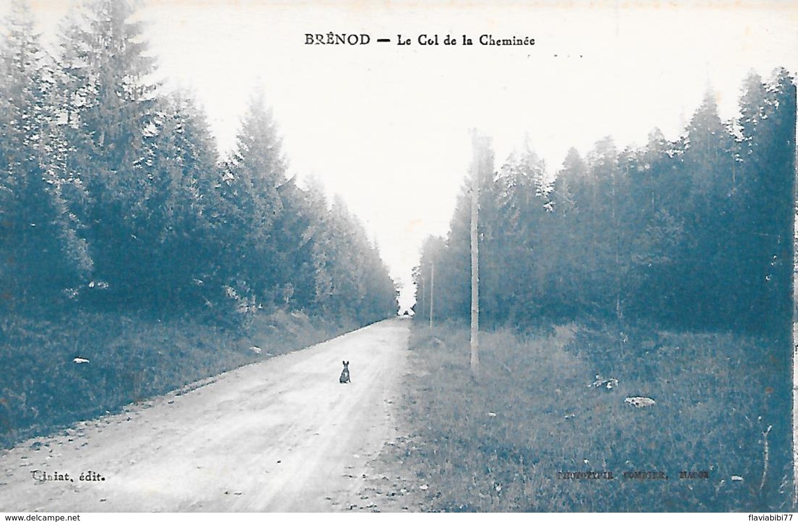 BRENOD - ( 01 ) - Le Col De La Cheminée - Non Classés