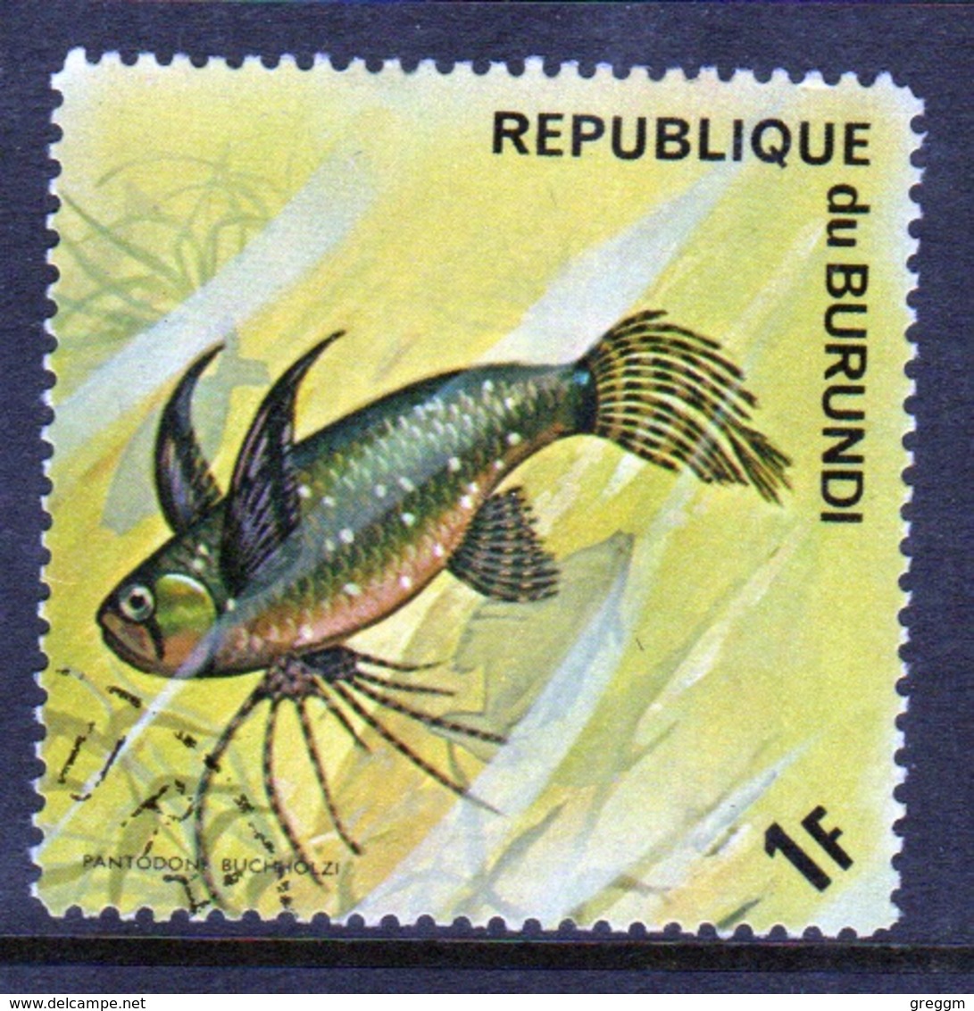 Burundi 1974 Single Fine Used Stamp From The Fish Series. - Used Stamps