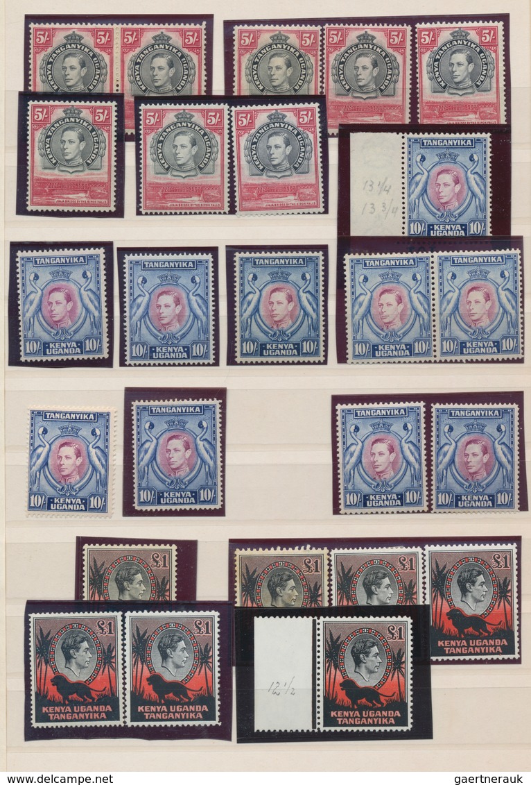 Britisch-Ostafrika Und Uganda: 1903-1963, Mint Collection Of East Africa & Uganda Protectorates Plus - East Africa & Uganda Protectorates