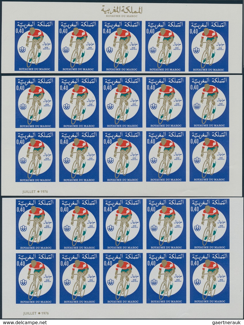 Marokko: 1975-90, Album With Imperf Blocks, Sheets And Souvenir Sheets, Olympics And Sports, Animals - Used Stamps