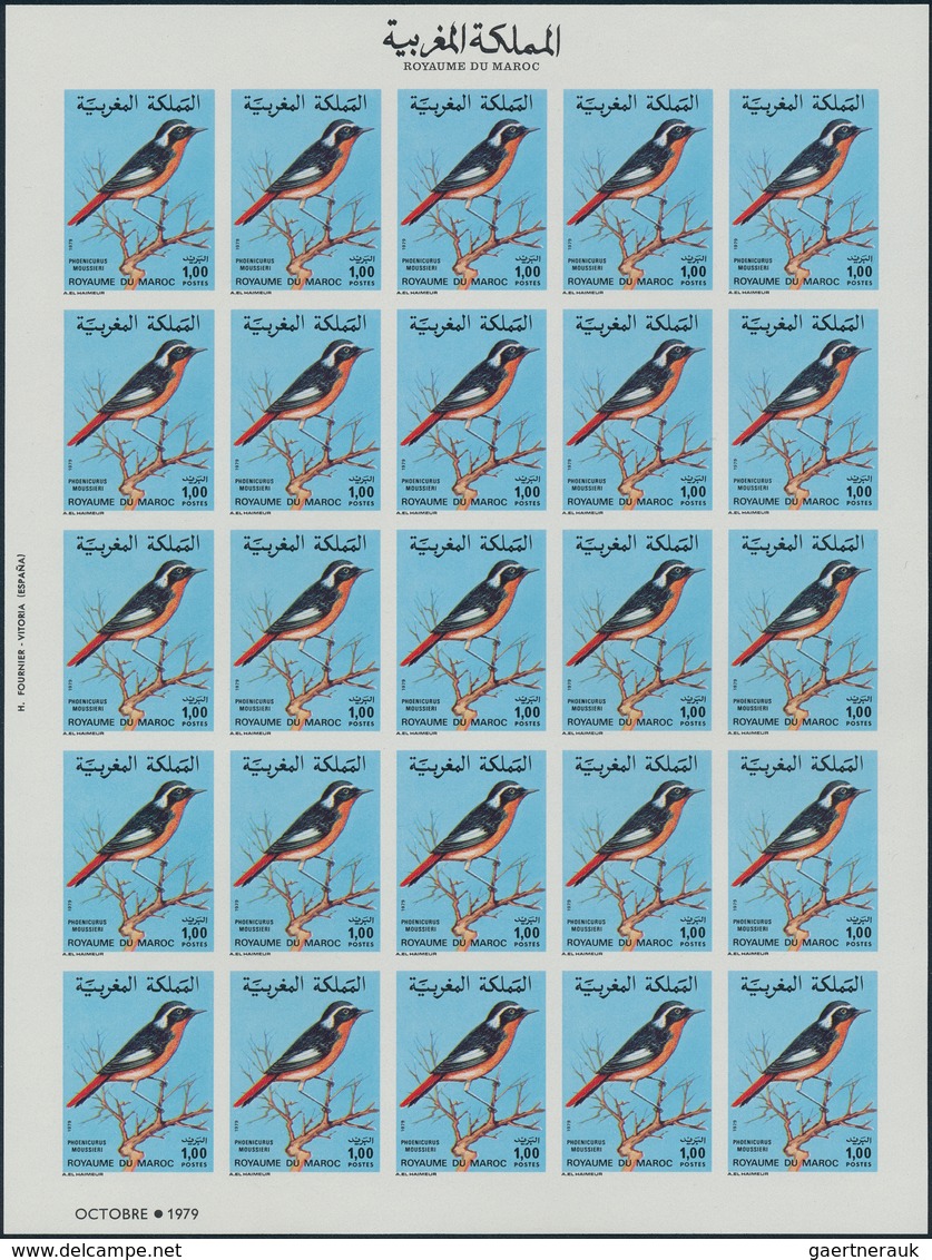 Marokko: 1975-90, Album With Imperf Blocks, Sheets And Souvenir Sheets, Olympics And Sports, Animals - Used Stamps