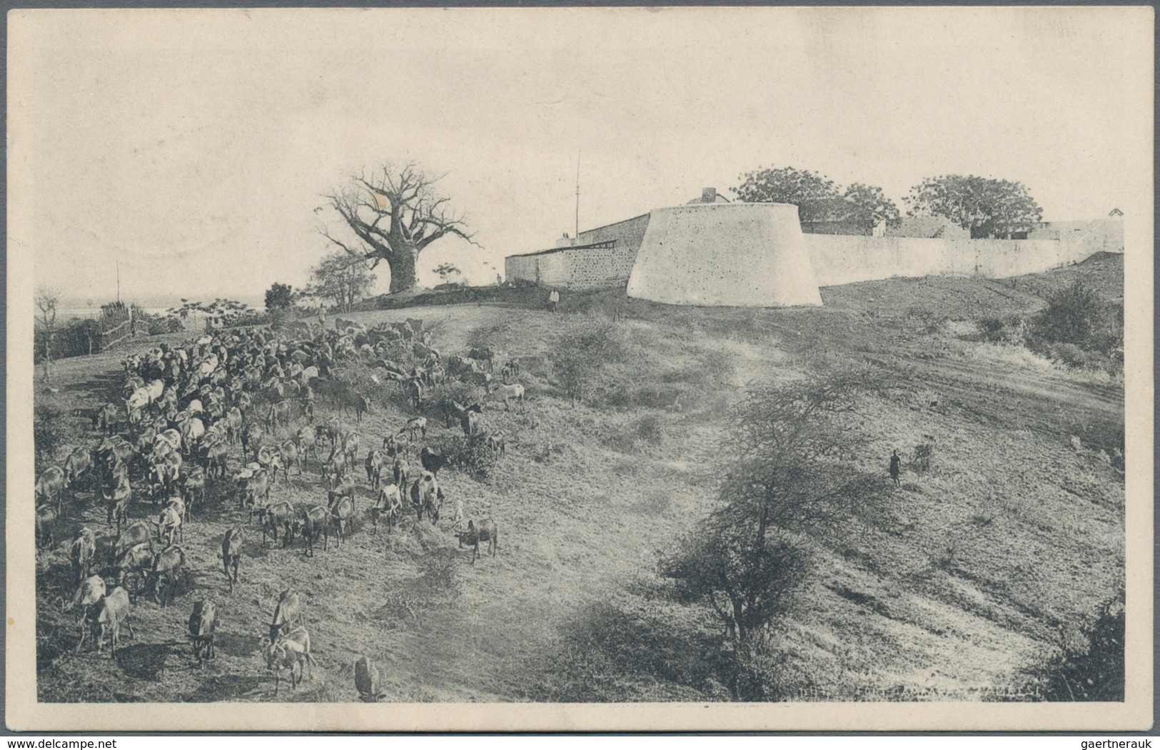 Mocambique - Provinzausgaben: Zambezia: 1909/1911, group with 4 picture postcards, all franked with