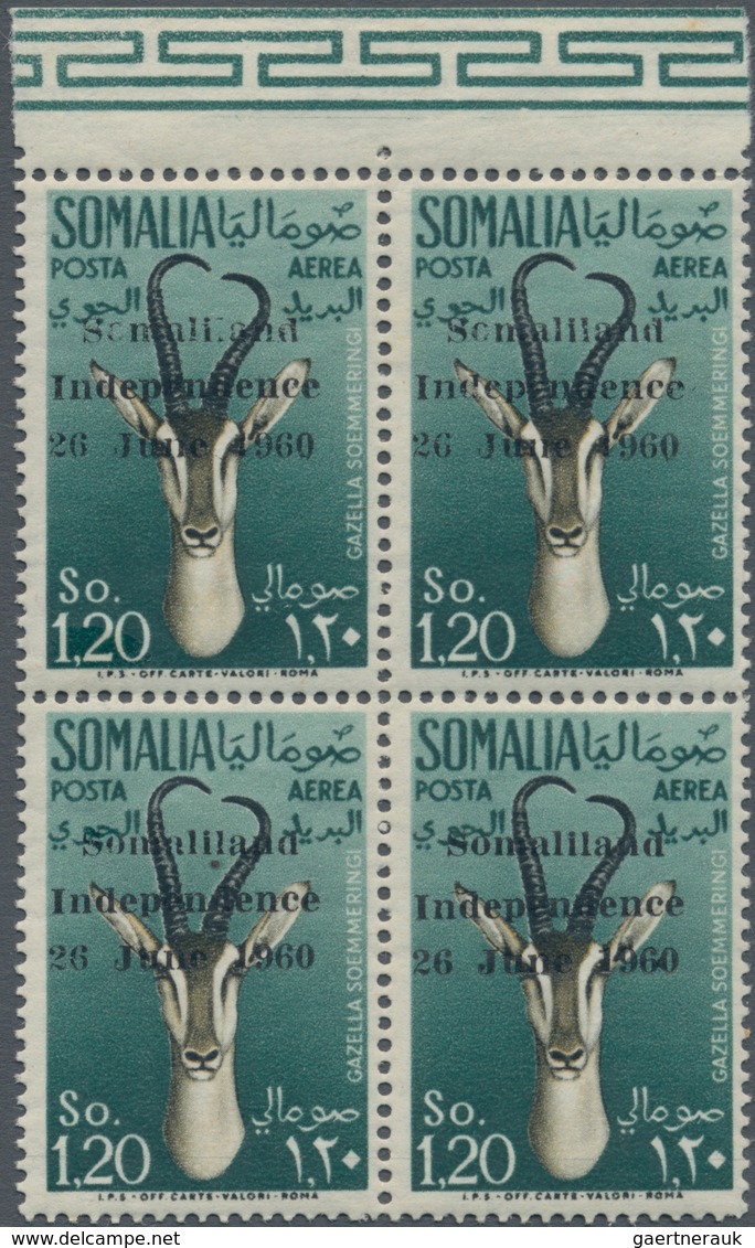 Somalia: 1960, Ital. Somaliland 1.20s. ‚Gazelle (Gazella Soemmeringi)‘ With Black Three-line Opt. ‚S - Somalia (1960-...)