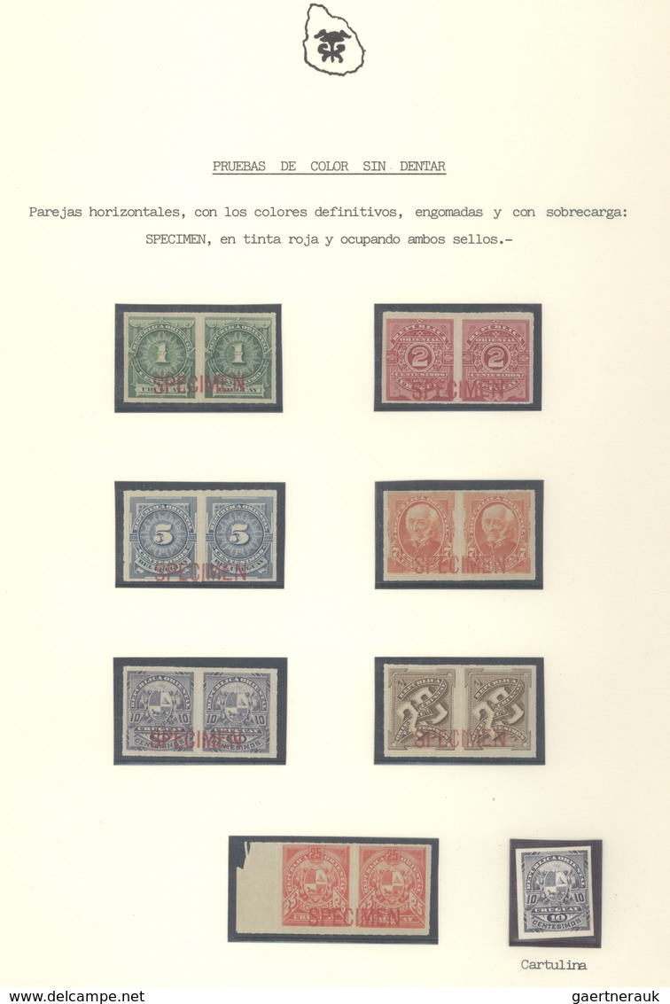 Uruguay: 1890/1955 (ca.), SPECIMEN/PROOF COLLECTION, Comprehensive And All-embracing Collection Of A - Uruguay