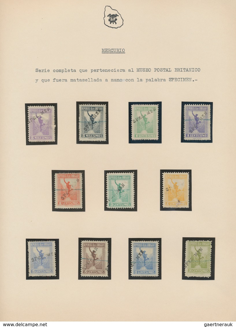 Uruguay: 1922/1921, Mercury Issue, Specialised Collection Of Apprx. 140 Stamps On Album Pages, Showi - Uruguay