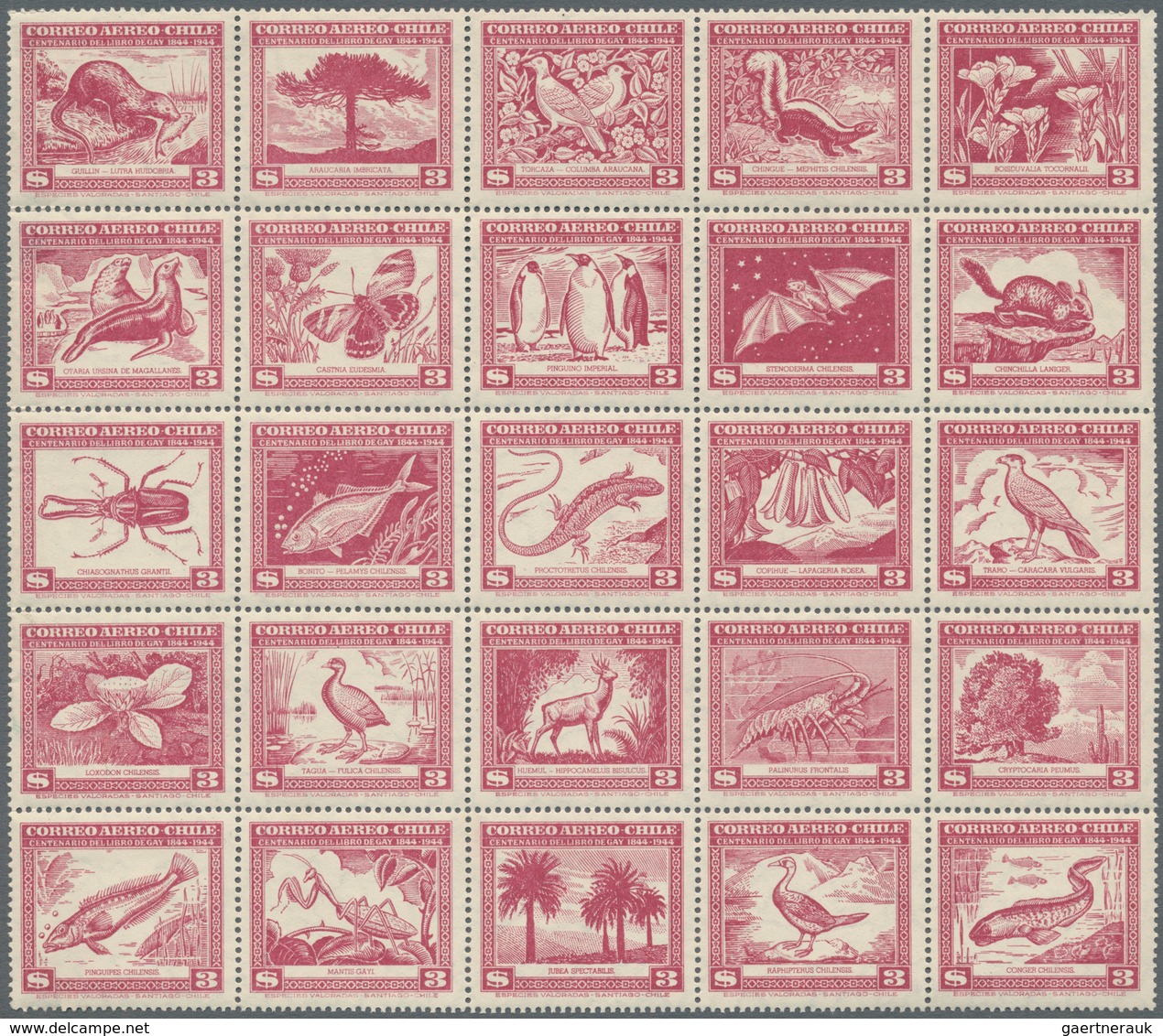 Südamerika: 1867/1960 (ca.), Accumulation With Main Part From CHILE Incl. Many Better Stamps And Com - Otros - América