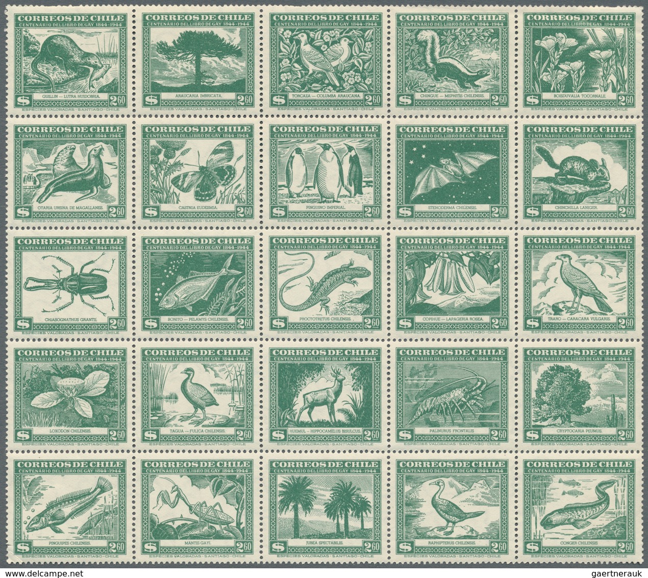 Südamerika: 1867/1960 (ca.), Accumulation With Main Part From CHILE Incl. Many Better Stamps And Com - America (Other)