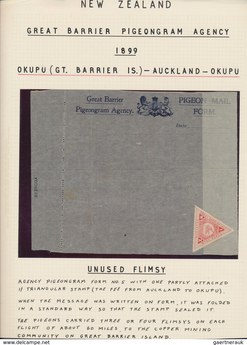 Brieftaubenpost: 1899/1904, NEW ZEALAND "THE GREAT BARRIER ISLAND PIGEON MAIL", Extraordinary And De - Palomas, Tórtolas