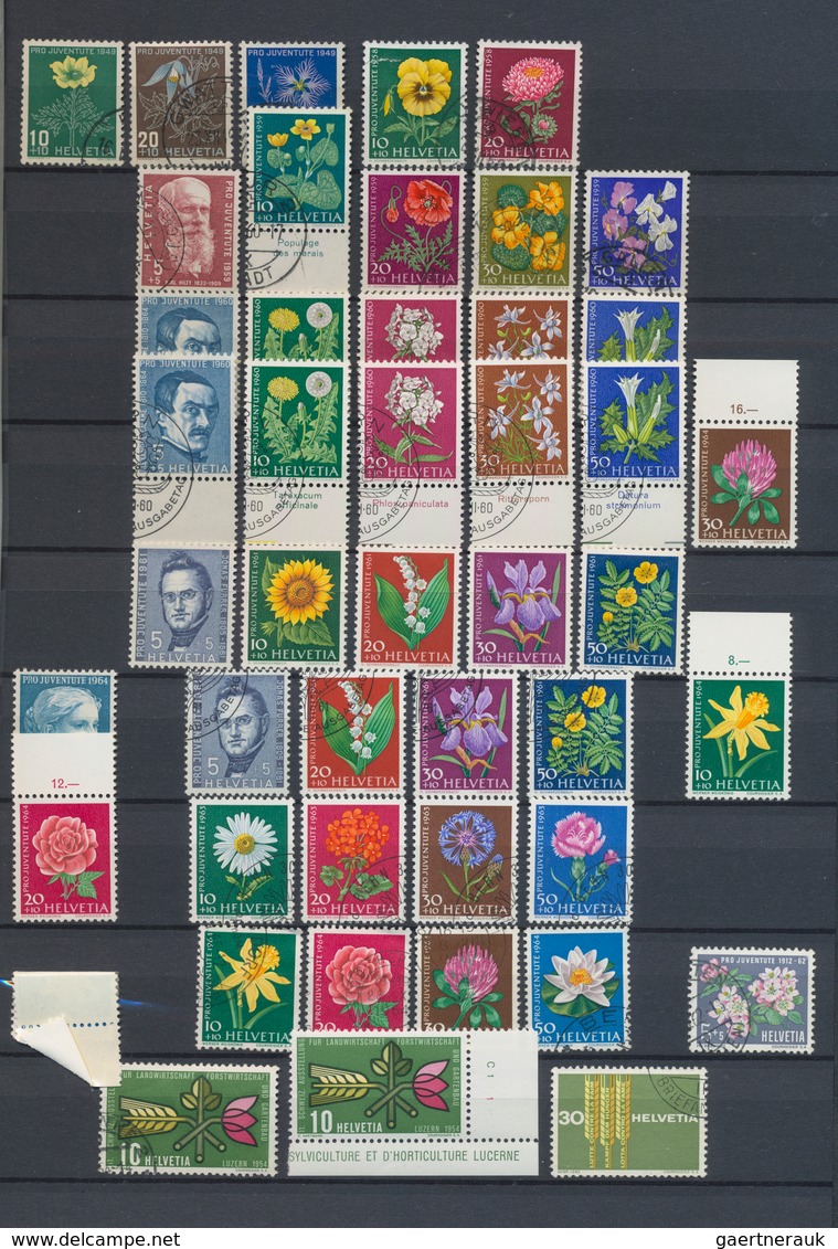 Thematik: Flora, Botanik / Flora, Botany, Bloom: 1910/2000 (ca.), Flowers, Comprehensive Collection/ - Other & Unclassified