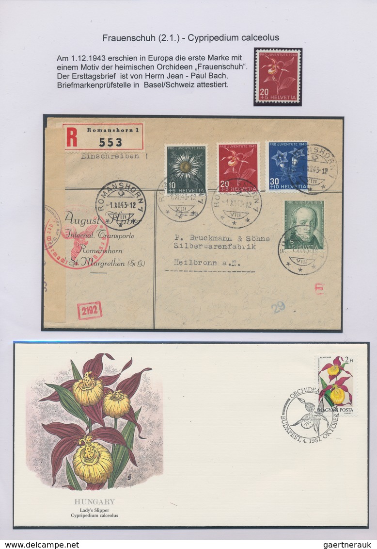Thematik: Flora, Botanik / Flora, Botany, Bloom: 1940/2015 (ca.), Mint And Used Collection/accumulat - Andere & Zonder Classificatie