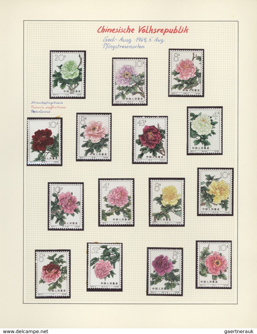 Thematik: Flora, Botanik / Flora, Botany, Bloom: 1953/2005, Large Collection FLORA In 24 SAFE Albums - Other & Unclassified