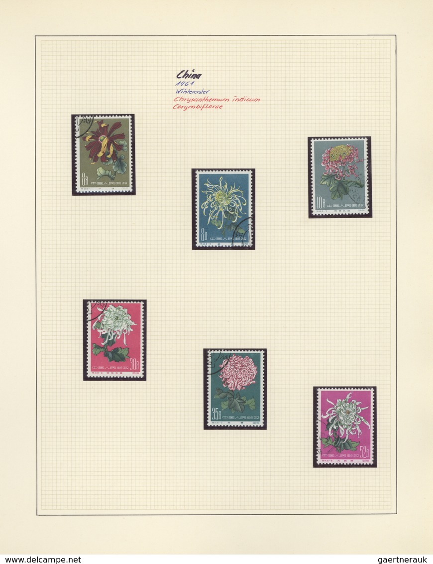 Thematik: Flora, Botanik / Flora, Botany, Bloom: 1953/2005, Large Collection FLORA In 24 SAFE Albums - Altri & Non Classificati