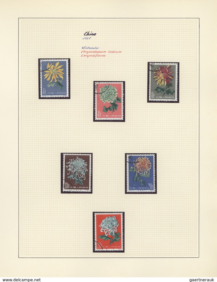 Thematik: Flora, Botanik / flora, botany, bloom: 1953/2005, large collection FLORA in 24 SAFE albums