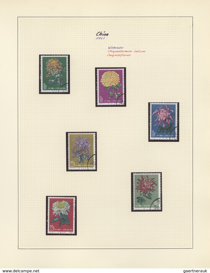 Thematik: Flora, Botanik / flora, botany, bloom: 1953/2005, large collection FLORA in 24 SAFE albums