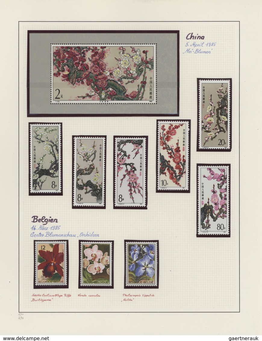 Thematik: Flora, Botanik / flora, botany, bloom: 1953/2005, large collection FLORA in 24 SAFE albums