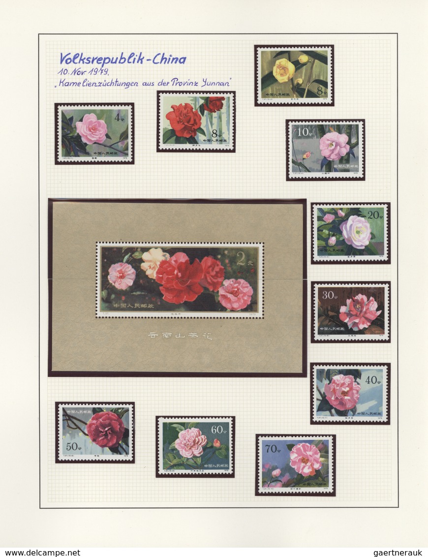 Thematik: Flora, Botanik / flora, botany, bloom: 1953/2005, large collection FLORA in 24 SAFE albums