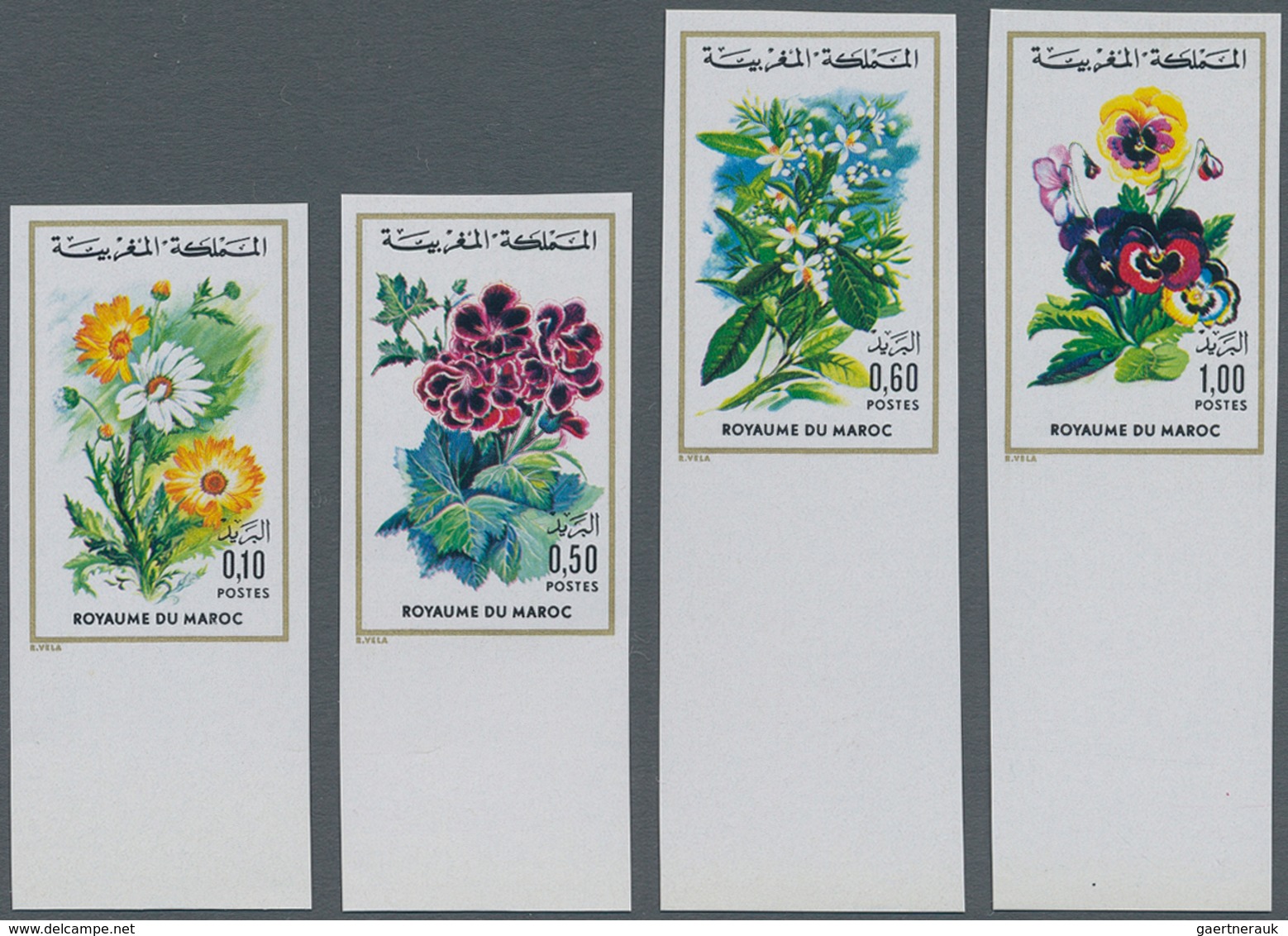 Thematik: Flora, Botanik / Flora, Botany, Bloom: 1975, MOROCCO: Flowers Complete Set Of Four Incl. 0 - Other & Unclassified