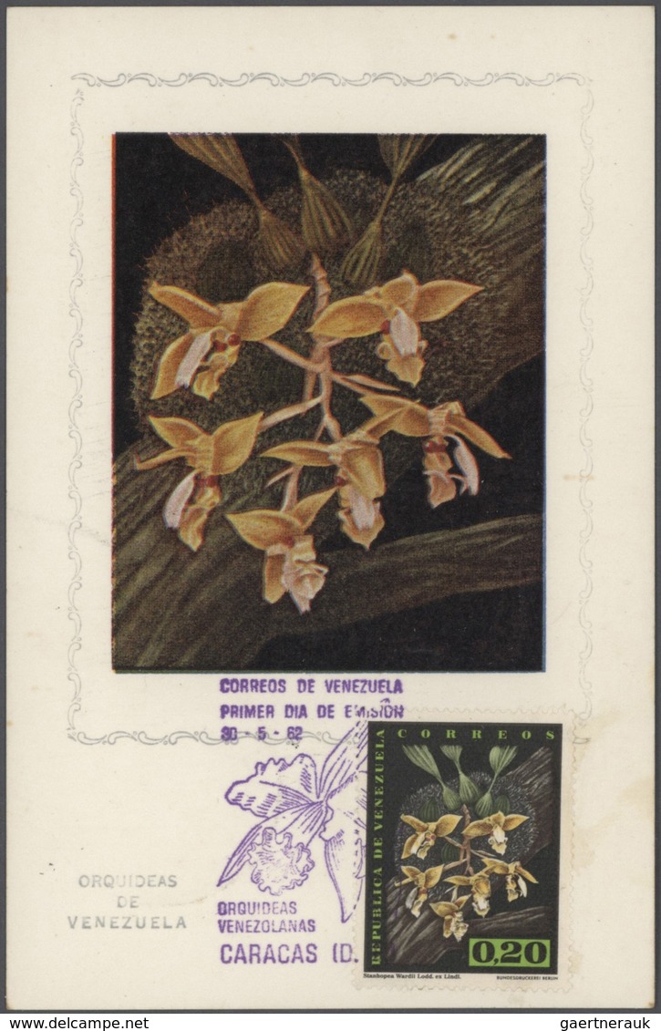 Thematik: Flora-Orchideen / Flora-orchids: 1905/2011 (ca.), Enormously Extensive Collection Of This - Orchideen