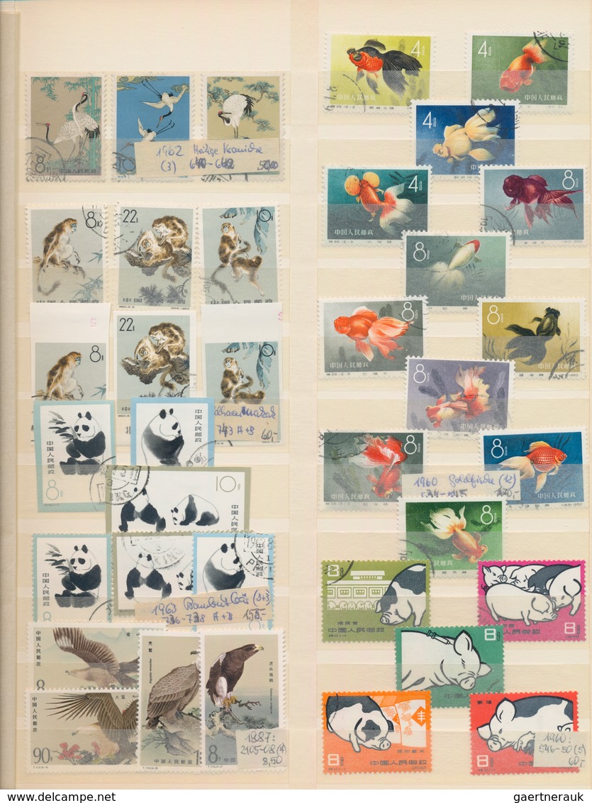 Thematik: Tiere, Fauna / Animals, Fauna: 1900/1990 (ca.), Sophisticated Collection/accumulation Of T - Other & Unclassified