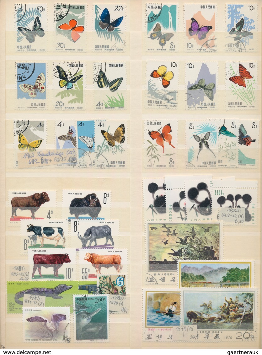 Thematik: Tiere, Fauna / Animals, Fauna: 1900/1990 (ca.), Sophisticated Collection/accumulation Of T - Altri & Non Classificati