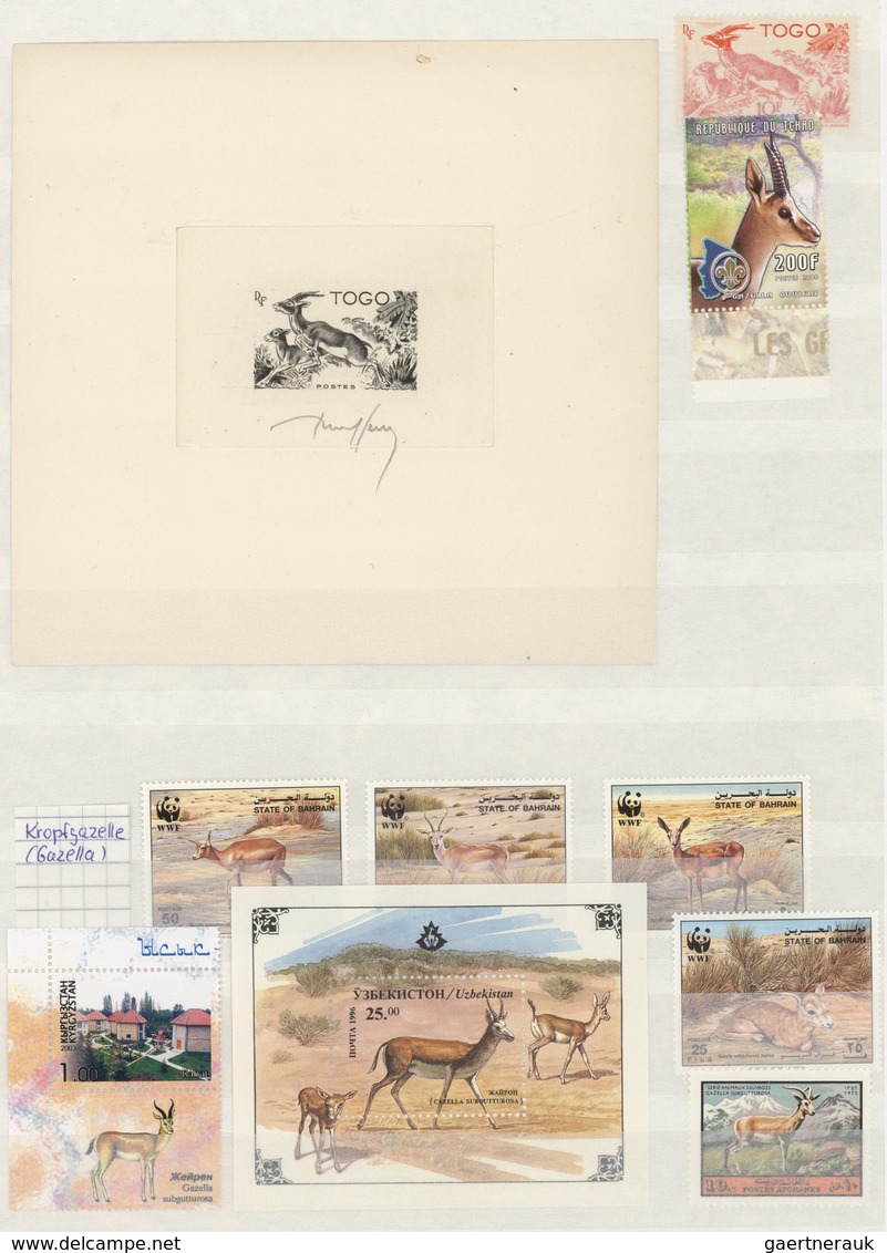 Thematik: Tiere, Fauna / Animals, Fauna: 1920/2000 (ca.), Comprehensive An Wide-spread Mainly MNH Co - Sonstige & Ohne Zuordnung