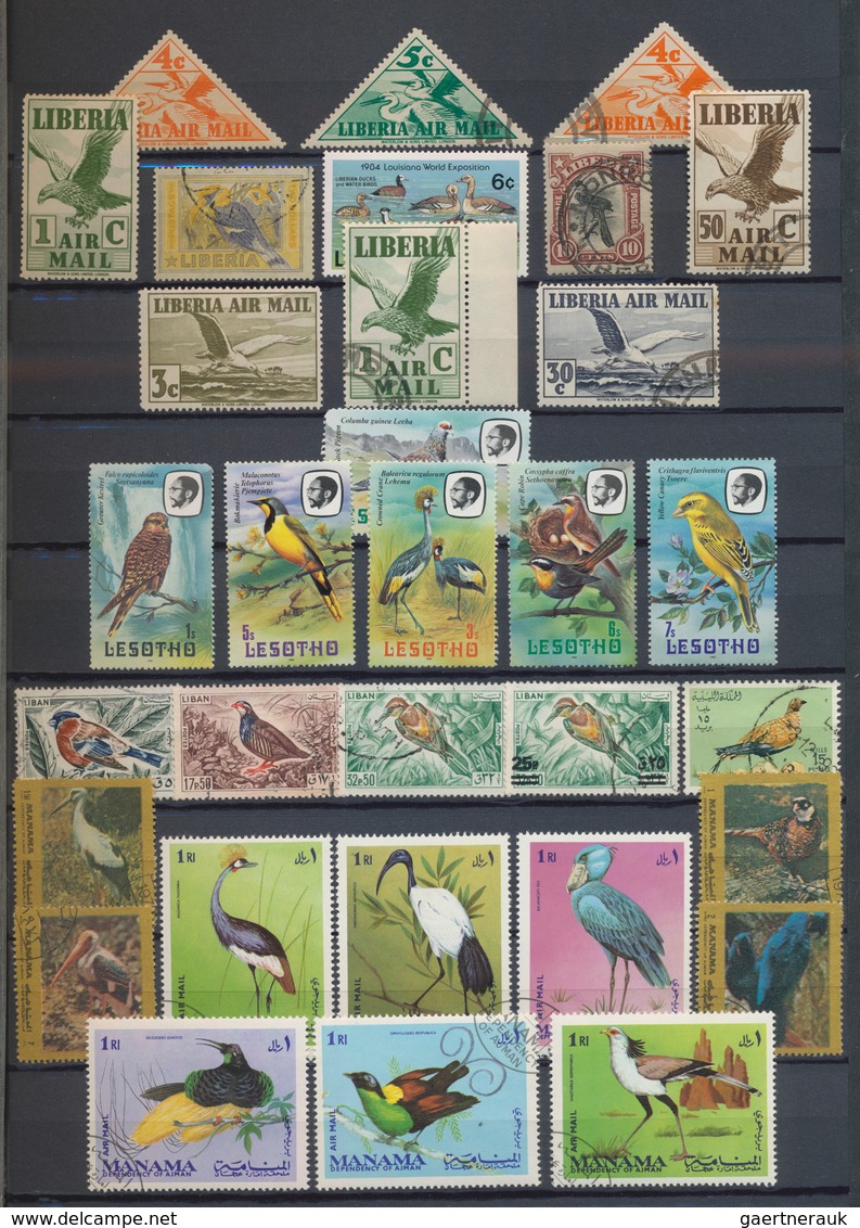 Thematik: Tiere, Fauna / Animals, Fauna: 1920/1990 (ca.), Birds, Fishes, Insects Etc., Comprehensive - Sonstige & Ohne Zuordnung