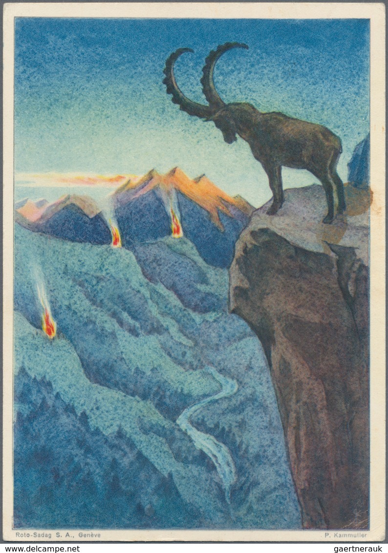 Thematik: Tiere, Fauna / Animals, Fauna: 1940/2000 (ca.), CHAMOIS/IBEX, Collection Of Apprx. 175 Cov - Sonstige & Ohne Zuordnung