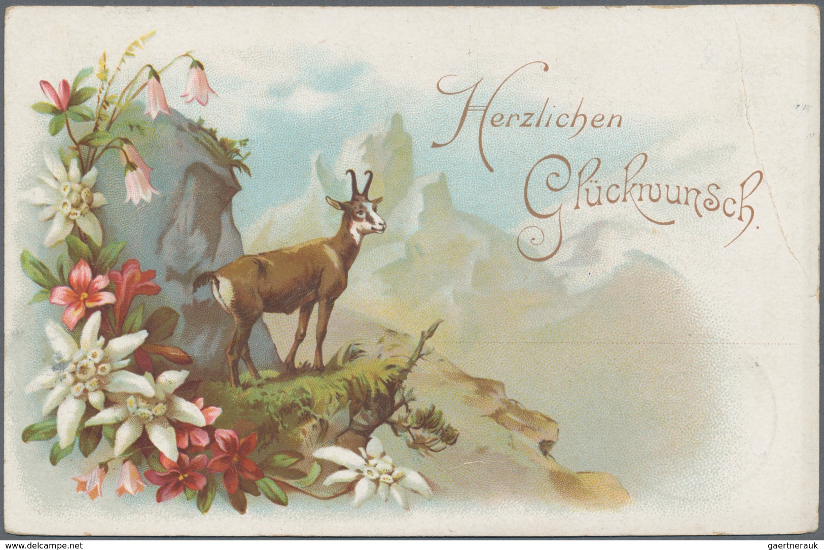 Thematik: Tiere, Fauna / Animals, Fauna: 1940/2000 (ca.), CHAMOIS/IBEX, Collection Of Apprx. 175 Cov - Sonstige & Ohne Zuordnung