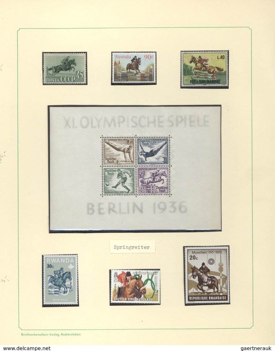 Thematik: Tiere-Pferde / animals-horses: 1870/1990 (ca.), comprehensive collection arranged on apprx