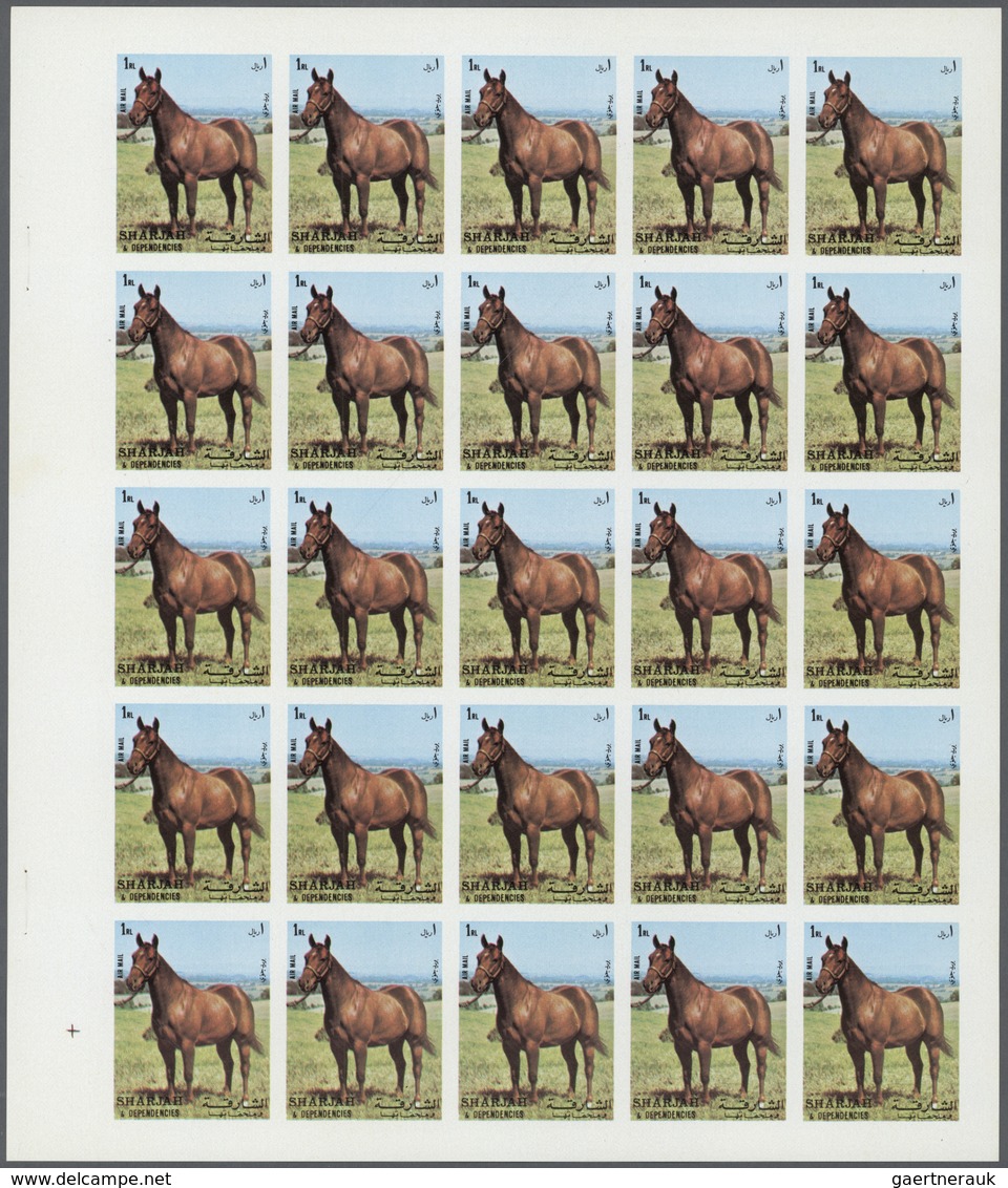 Thematik: Tiere-Pferde / Animals-horses: 1972. Sharjah. Progressive Proof (7 Phases) In Complete She - Horses