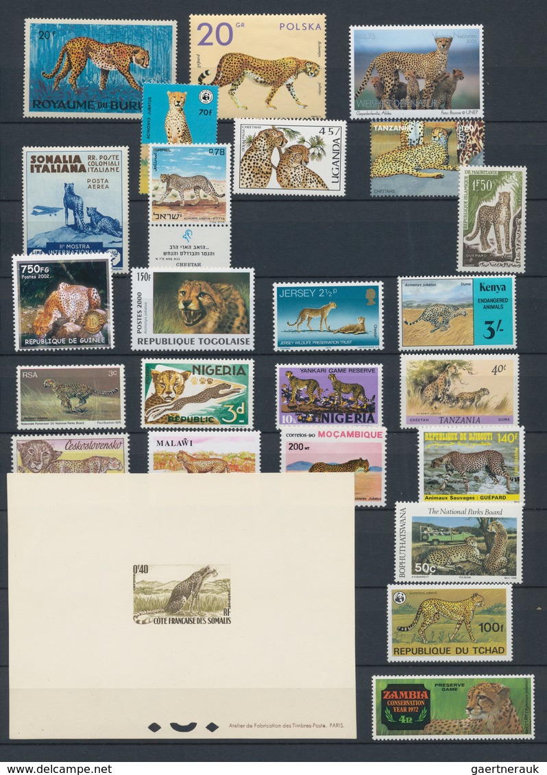 Thematik: Tiere-Raubtiere / Animals-predacious Cats: 1920/2010 (ca.), Comprehensive Mainly MNH Colle - Other & Unclassified