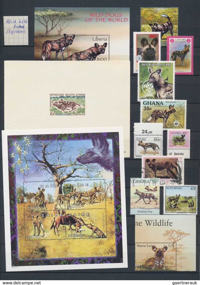 Thematik: Tiere-Raubtiere / Animals-predacious Cats: 1920/2010 (ca.), Comprehensive Mainly MNH Colle - Other & Unclassified