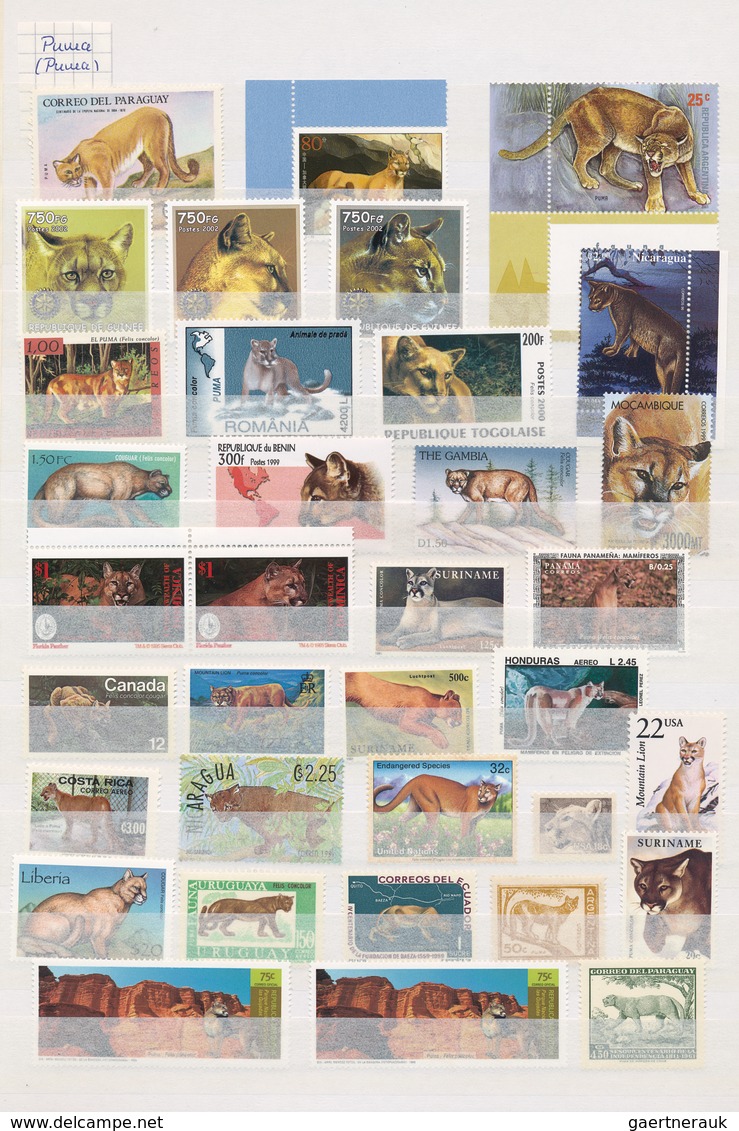 Thematik: Tiere-Raubtiere / animals-predacious cats: 1920/2010 (ca.), comprehensive mainly MNH colle