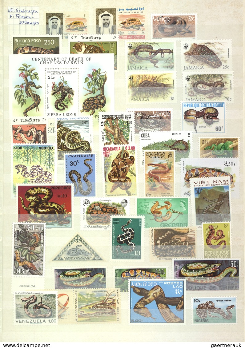 Thematik: Tiere-Reptilien / Animals-reptiles: 1960/2000 (ca.), REPTILES/AMPHIBIAN, Comprehensive MNH - Andere & Zonder Classificatie