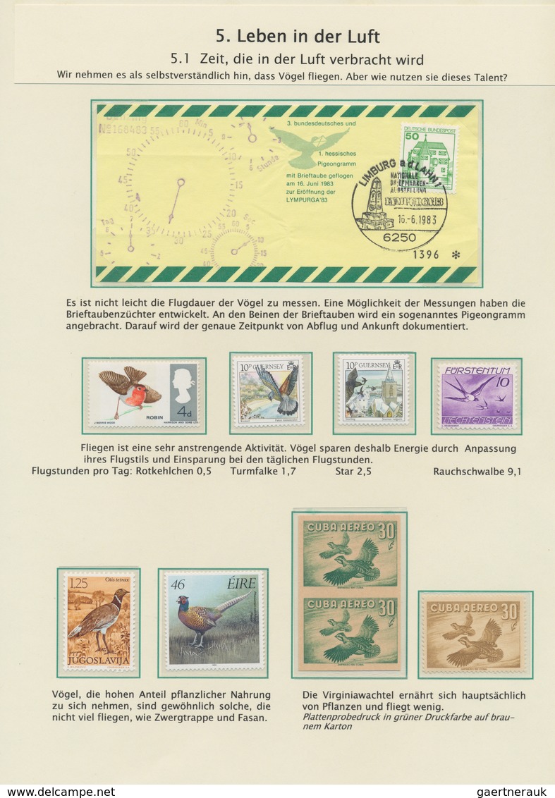 Thematik: Tiere-Vögel / animals-birds: 1840/2007, THE FASCINATION OF FLYING BIRDS, thematic collecti