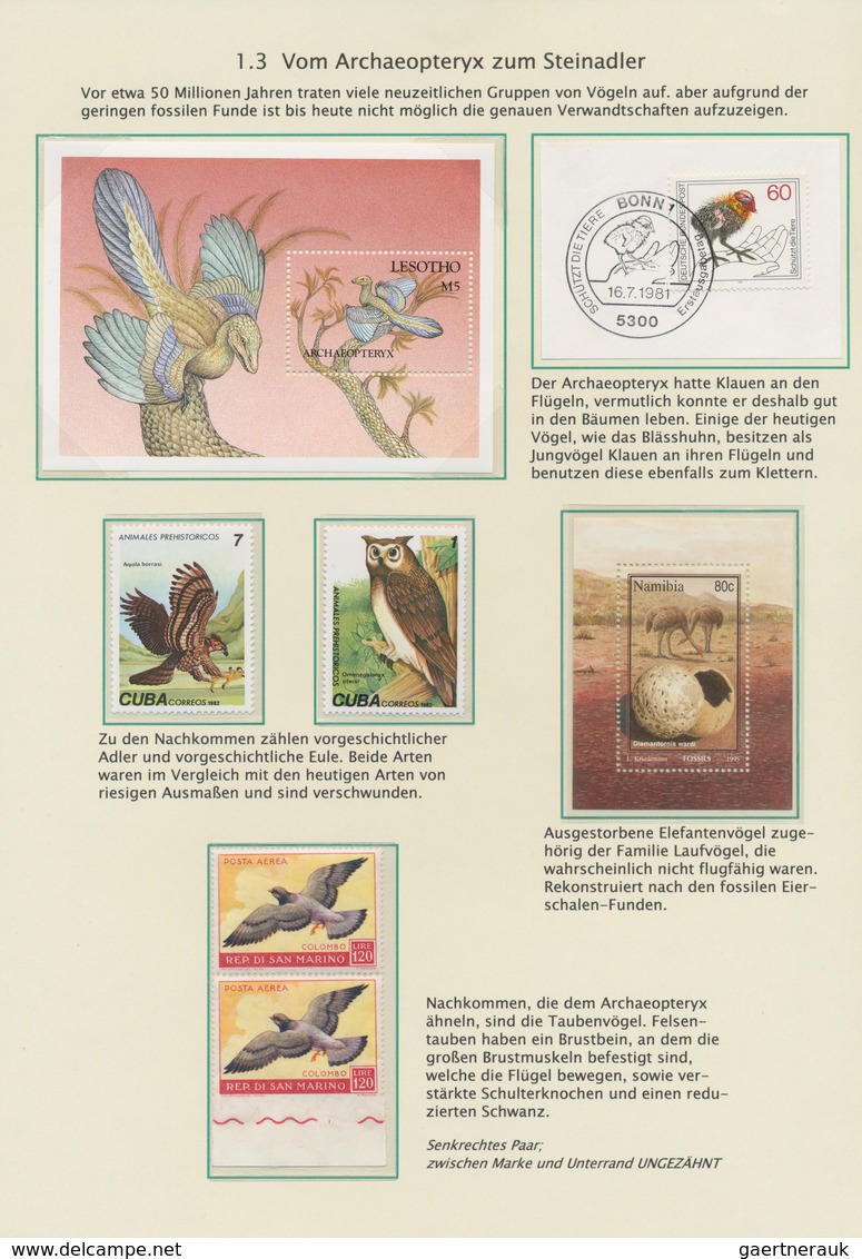 Thematik: Tiere-Vögel / animals-birds: 1840/2007, THE FASCINATION OF FLYING BIRDS, thematic collecti