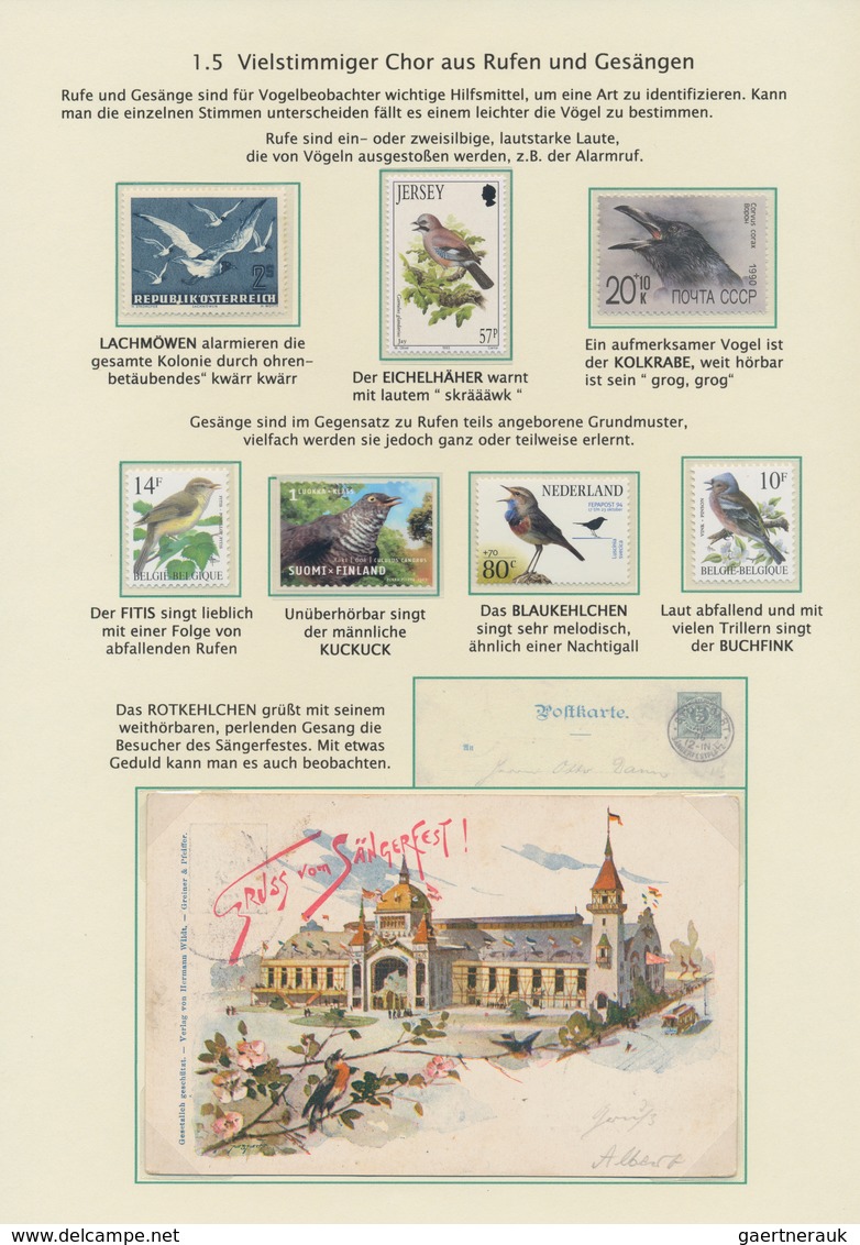 Thematik: Tiere-Vögel / Animals-birds: 1864/2000 (ca.), BIRD WATCHING, Thematic Collection On 65 Wri - Other & Unclassified