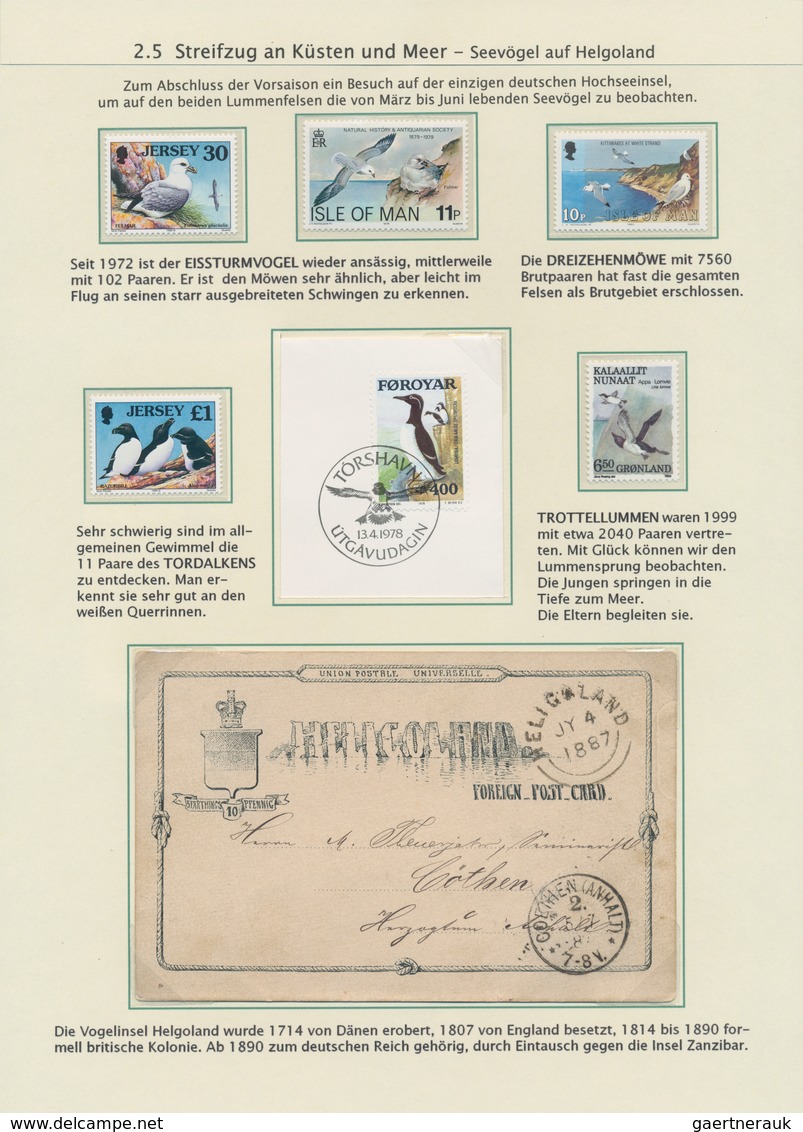 Thematik: Tiere-Vögel / Animals-birds: 1864/2000 (ca.), BIRD WATCHING, Thematic Collection On 65 Wri - Andere & Zonder Classificatie