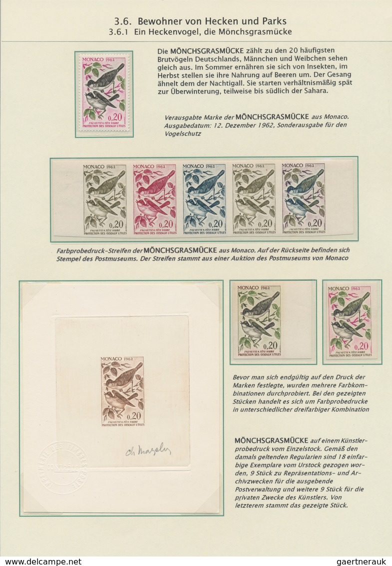 Thematik: Tiere-Vögel / animals-birds: 1864/2000 (ca.), BIRD WATCHING, thematic collection on 65 wri