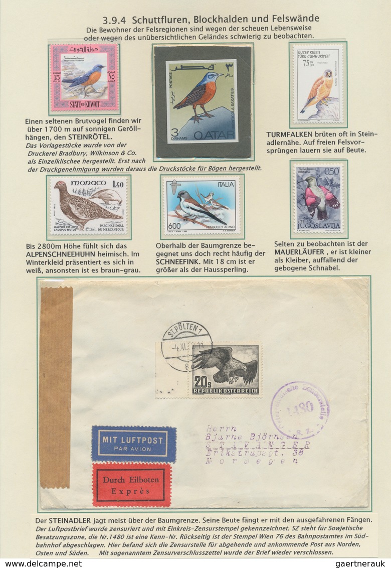 Thematik: Tiere-Vögel / animals-birds: 1864/2000 (ca.), BIRD WATCHING, thematic collection on 65 wri