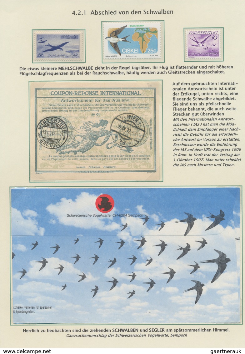 Thematik: Tiere-Vögel / animals-birds: 1864/2000 (ca.), BIRD WATCHING, thematic collection on 65 wri
