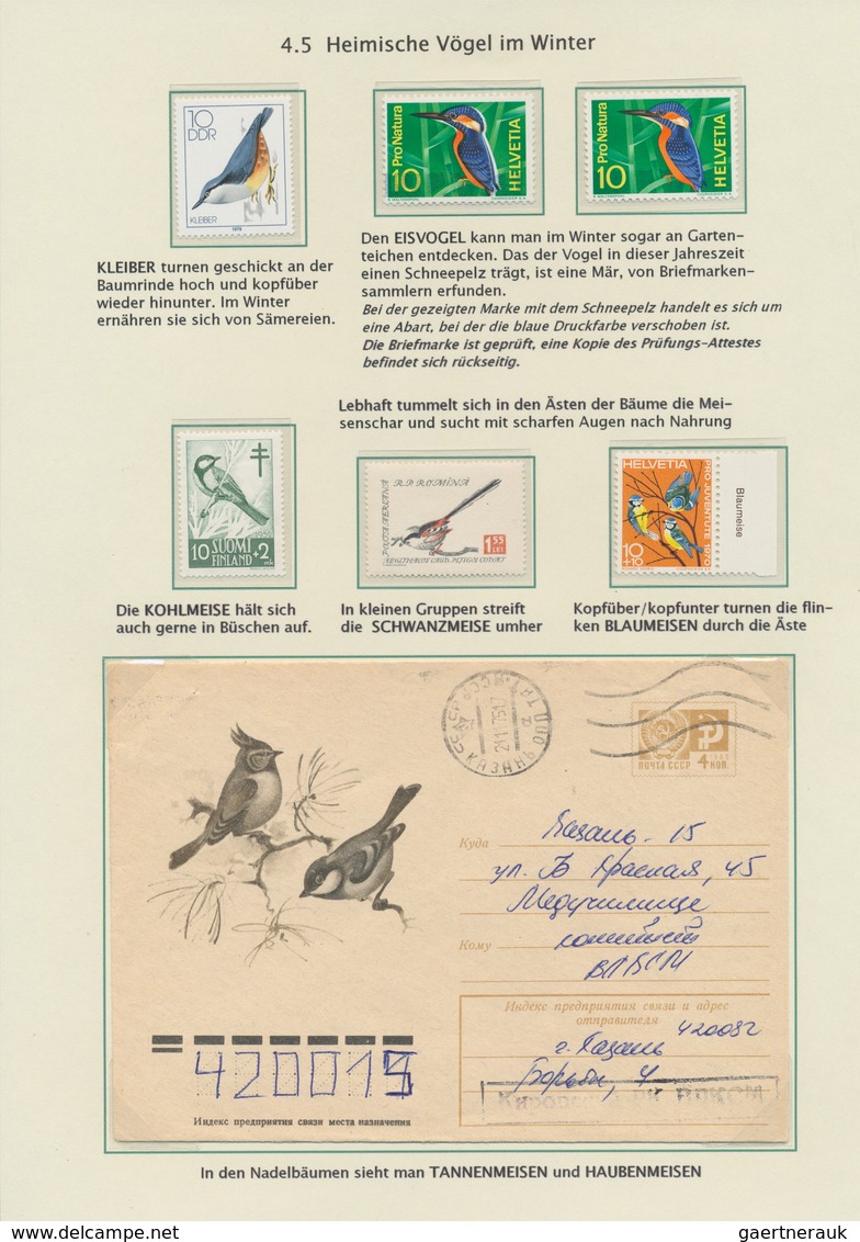 Thematik: Tiere-Vögel / animals-birds: 1864/2000 (ca.), BIRD WATCHING, thematic collection on 65 wri