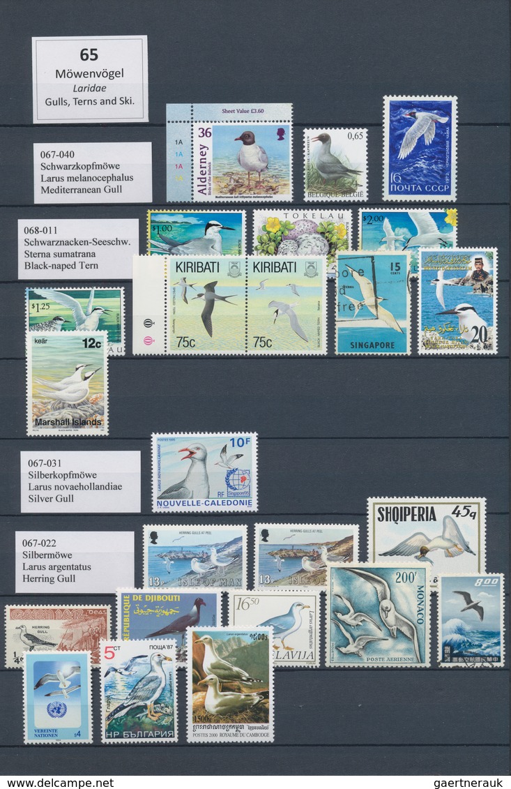 Thematik: Tiere-Vögel / Animals-birds: 1940/2005 (ca.), Comprehensive Collection/accumulation In Ten - Andere & Zonder Classificatie
