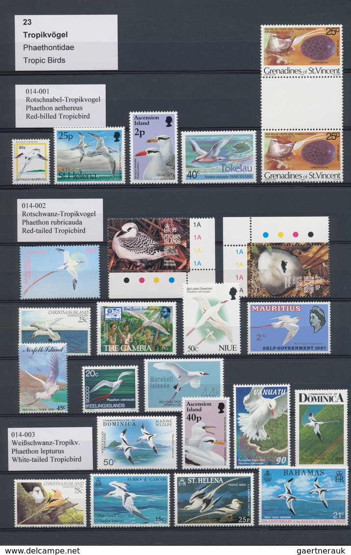 Thematik: Tiere-Vögel / animals-birds: 1940/2005 (ca.), comprehensive collection/accumulation in ten