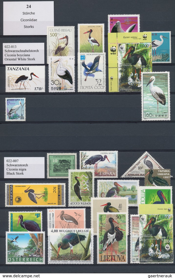 Thematik: Tiere-Vögel / animals-birds: 1940/2005 (ca.), comprehensive collection/accumulation in ten