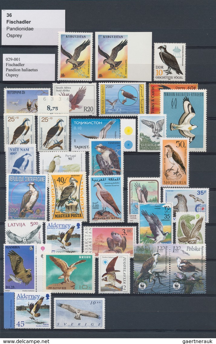 Thematik: Tiere-Vögel / animals-birds: 1940/2005 (ca.), comprehensive collection/accumulation in ten